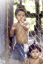 Children behind fence image